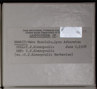 Image Associated With the Occurence